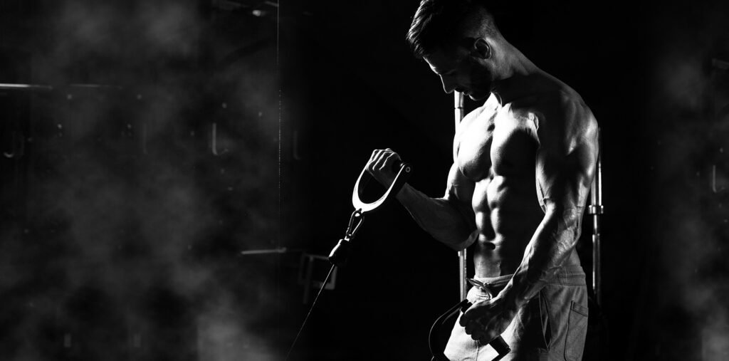 banner 1